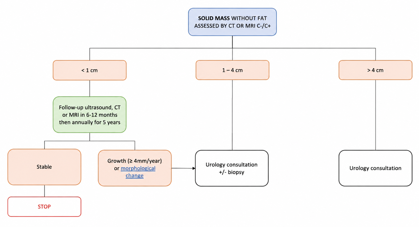Solid renal lesions