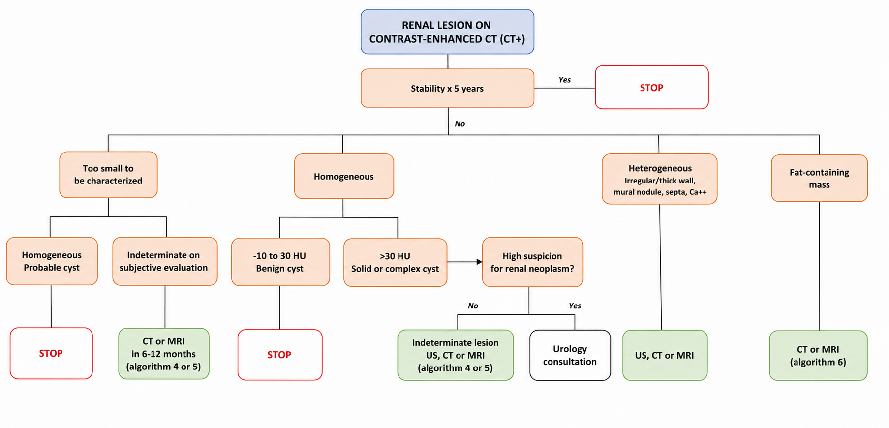 Incidental renal lesions on contrast-enhanced CT