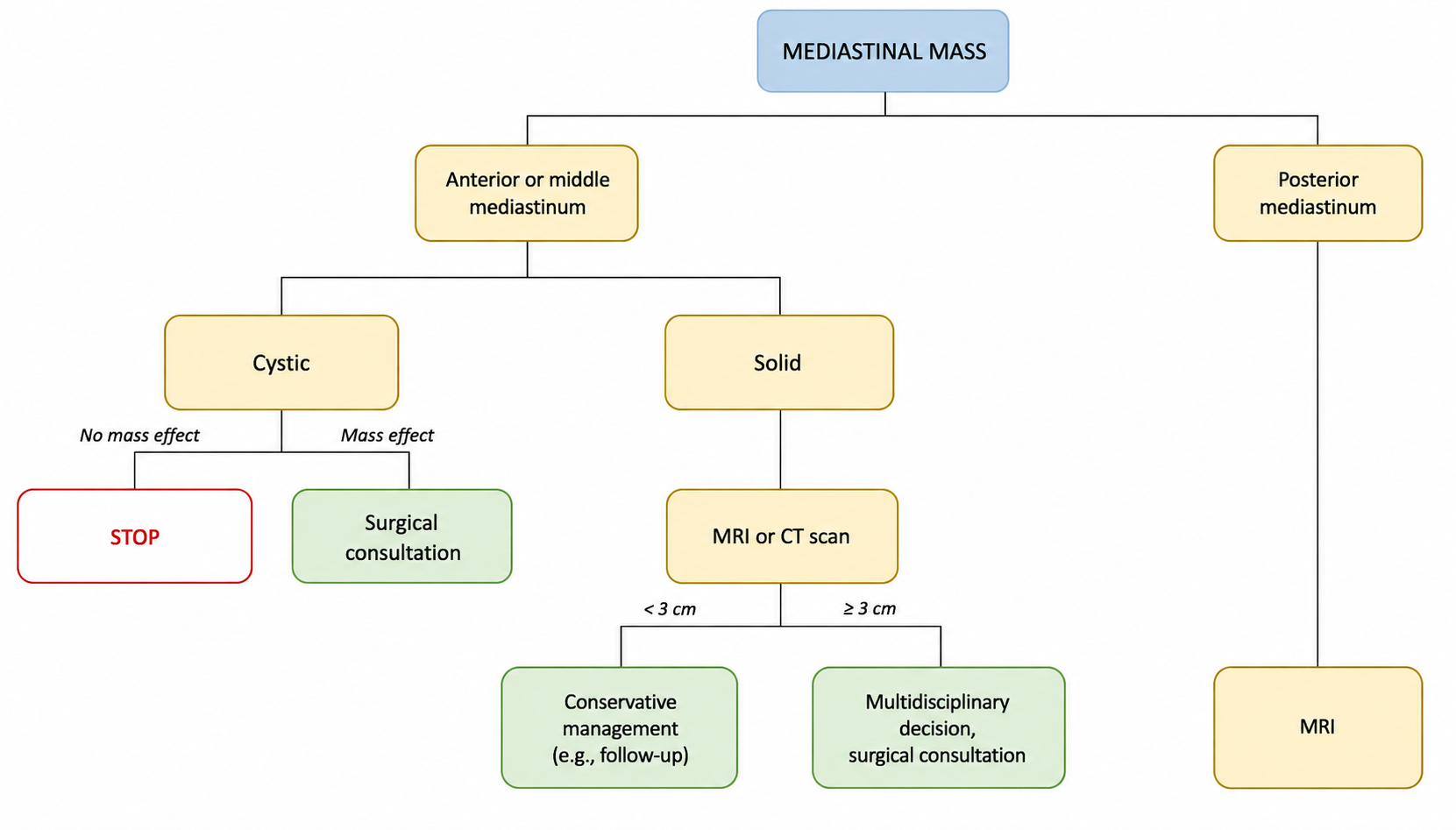 Anterior mediastinal lesions