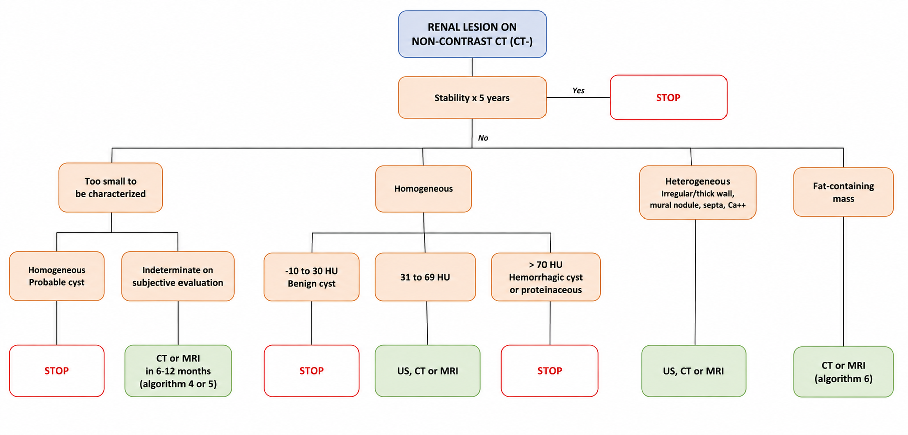 Incidental renal lesions on non-contrast CT