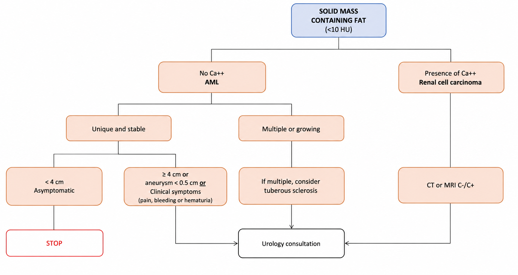 Solid renal lesions with fat components